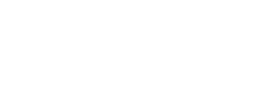 Mission 2021